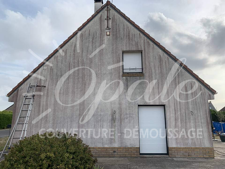 nettoyage-demoussage-facade_4.jpg