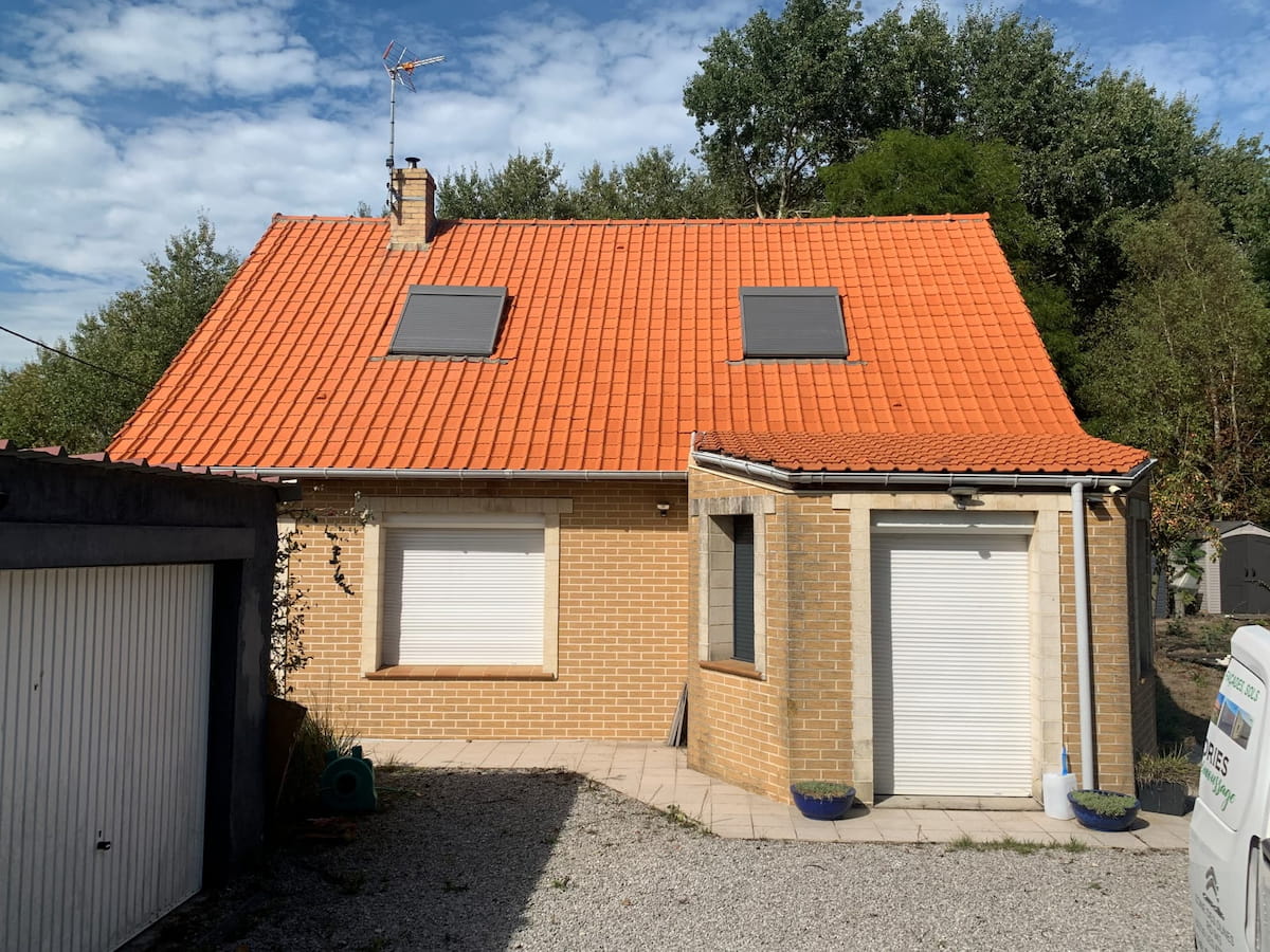 Démoussage & nettoyage