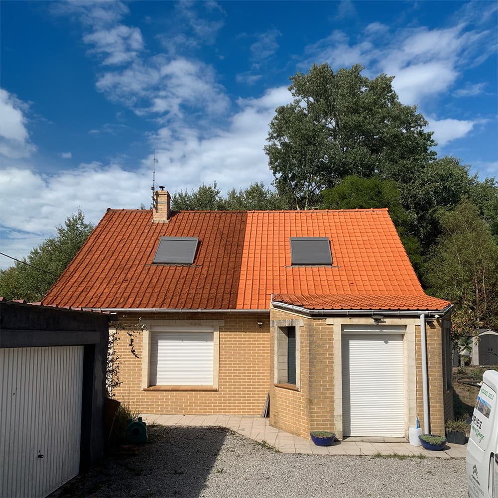 Entretien, nettoyage et démoussage de toiture